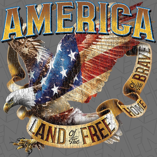 America Land of the Free Bald Eagle with Banner Patriotic DTF Transfer | Patriotic Direct-to-Film | 0238