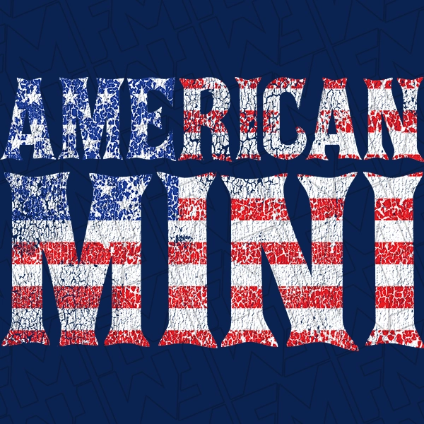 American Mini Mommy &amp; Me Kids Patriotic DTF Transfer | Patriotic Direct-to-Film | 0249