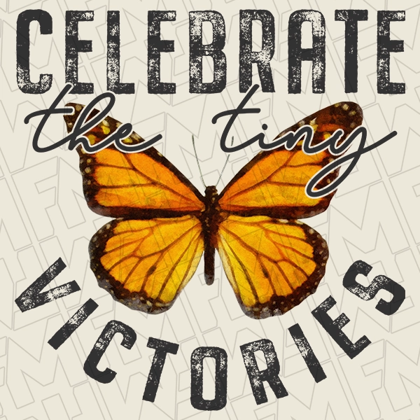 Celebrate the Tiny Victories Butterly Motivational DTF Transfer  Inspirational Directto-Film  0048
