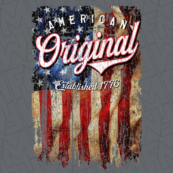 American Original Vintage Flag American Patriotic DTF Transfer 0236