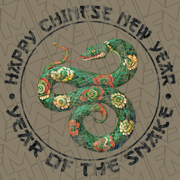 Happy Chinese New Year Snake New Year DTF Transfer  New Year Directto-Film  0566