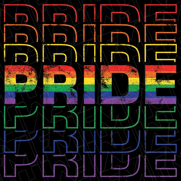 Retro Pride Rainbow Stacked Words LGBTQ Pride DTF Transfer  Trendy Directto-Film  0257